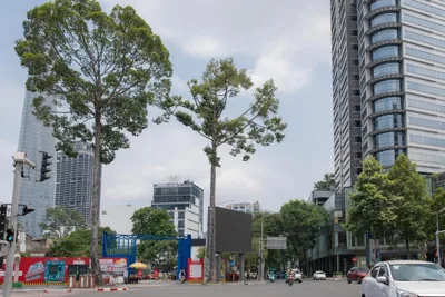 Nutha Home Pasteur D1- SG Historic site, Opera House & Ben Thanh Market – Foto’s 6